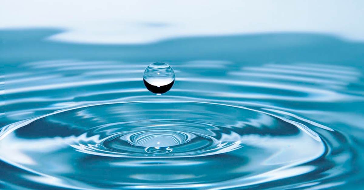 Día Mundial del Agua: pensemos en el agua